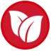 tokenpocket Download